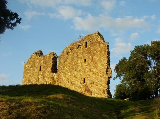 Thirlwall Castle