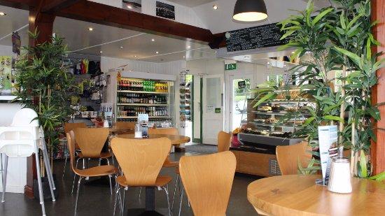 The Pier Cafe Bar