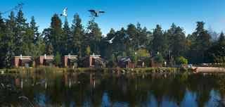 Whinfell Forest