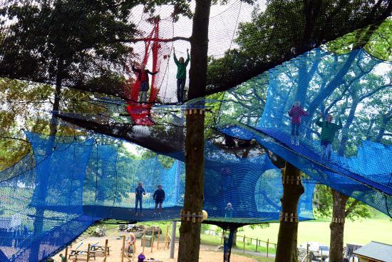 Treetop Nets