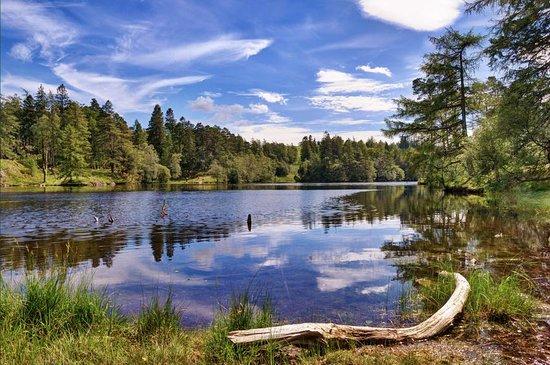 Brook tours of Windermere
